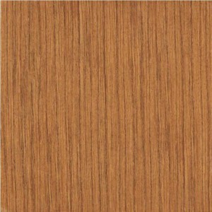 Gạch lát sàn Trường Thịnh WARM STONE C96857P